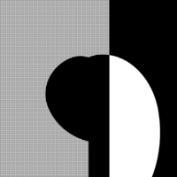 Opus XLVII Issue #02
